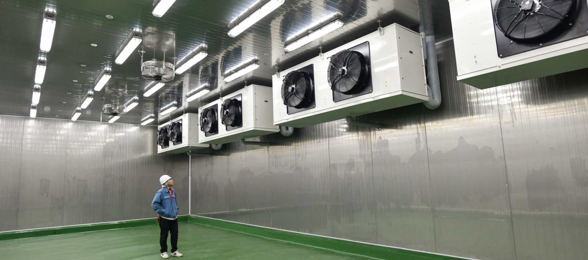 Cadena de Frío: La mayor eficiencia con los menores costes de energía